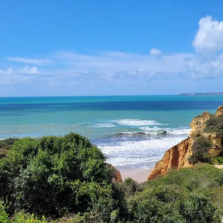 Agua Viva Na Algarve
