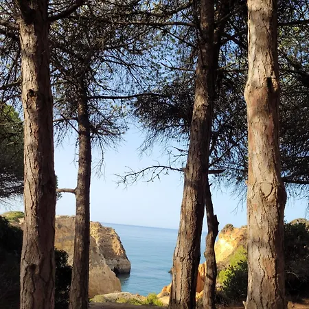 Apartment Agua Viva Na Alvor